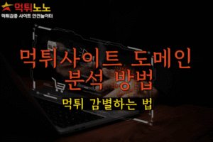먹튀사이트 도메인 분석