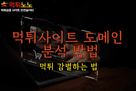 먹튀사이트 도메인 분석